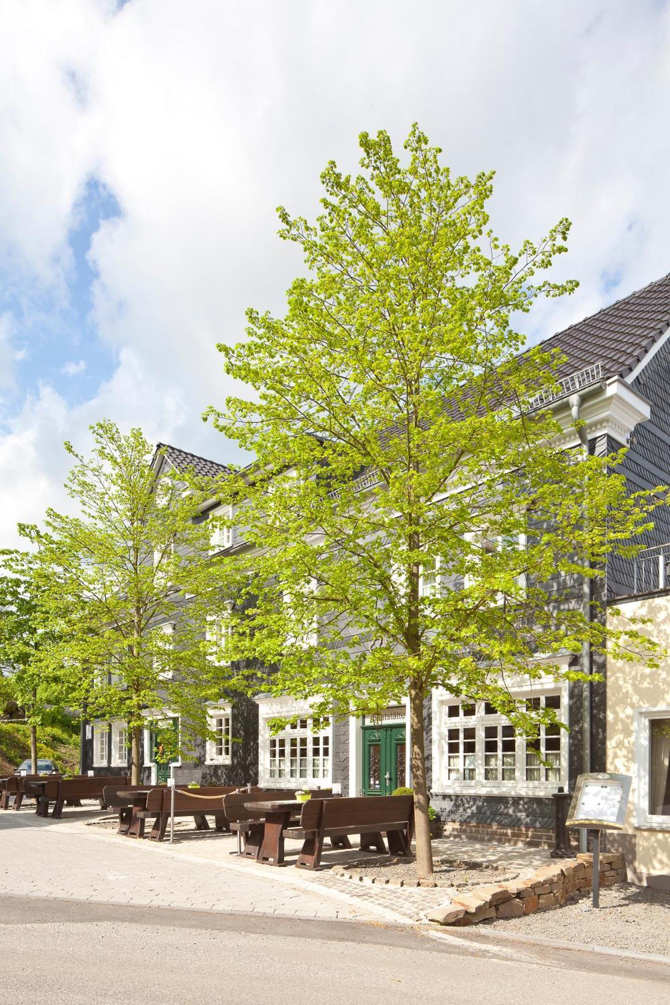 Zu Den Drei Linden Hotel Вермелскирхен Екстериор снимка